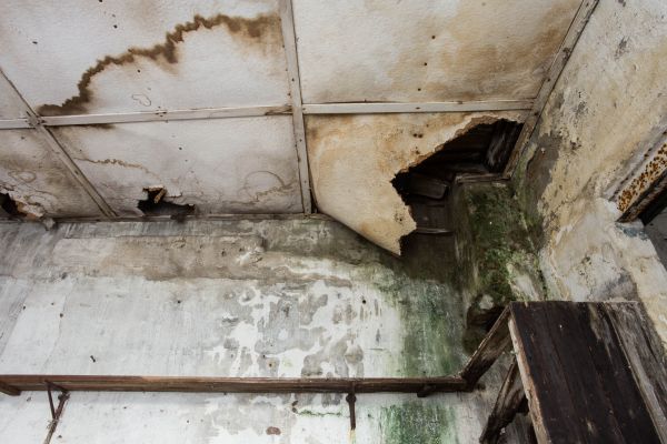 Water Damage Service in North Port