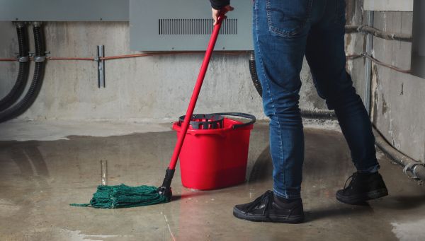 Flooded Basement Cleanup in North Port