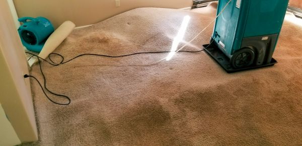 Carpet Water Extraction in North Port