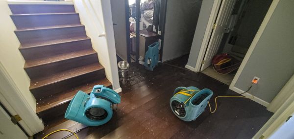 Water Damage Remediation in North Port