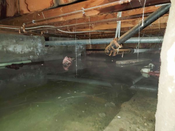 Water Mitigation Service in North Port