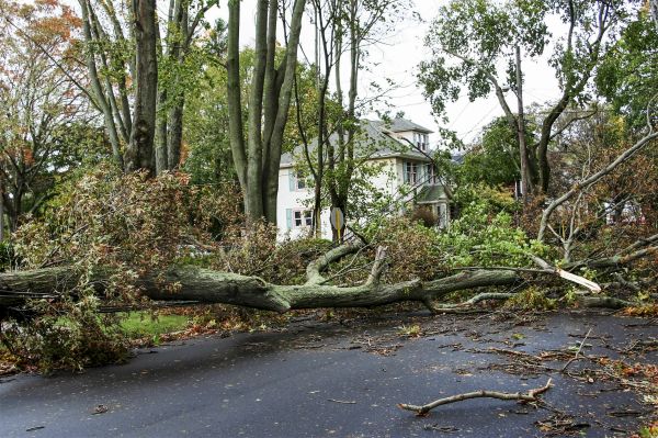 Tornado Damage Repair in North Port