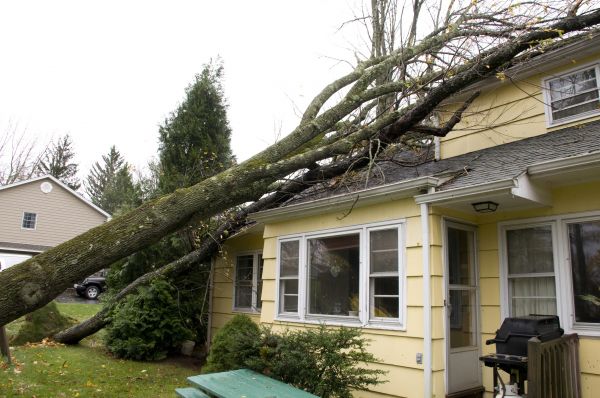 Storm Damage Mitigation in North Port