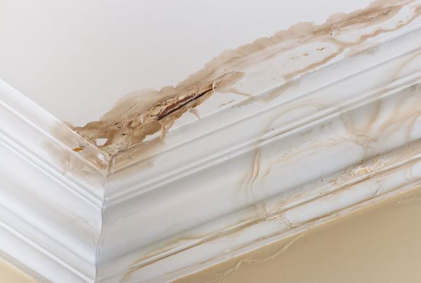 Water Damage Recovery in North Port