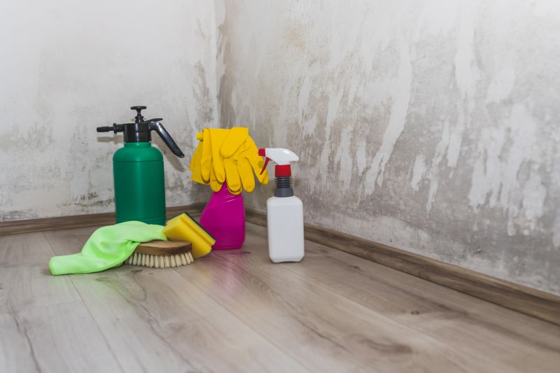 Mold Remediation Setup